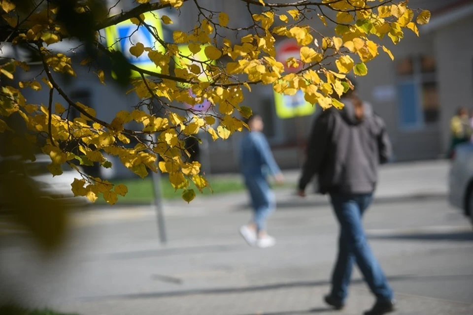 Важно определить что сейчас действительно важно для вас