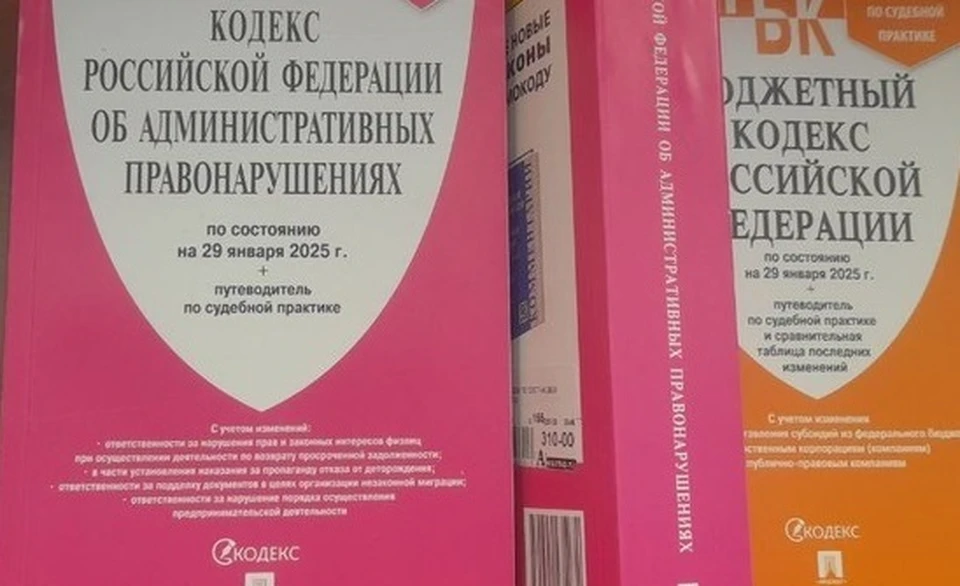 63 протокола составлены в отношении самих иностранных граждан.