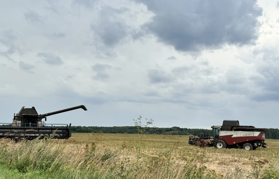 Фото: admin-smolensk.ru
