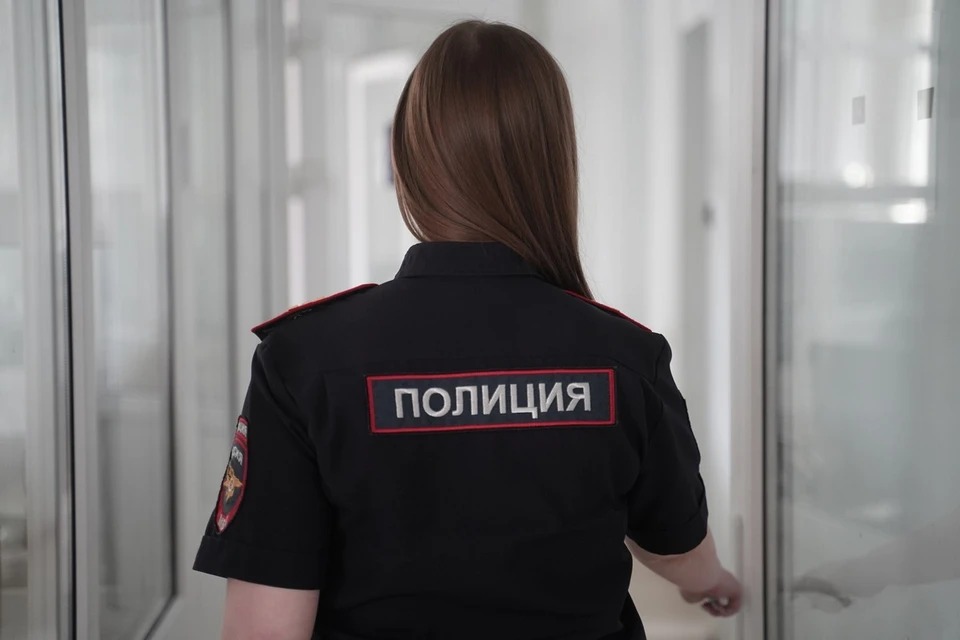 Ульяновца отправили в колонию за оскорбление и нападение на женщину-полицейского