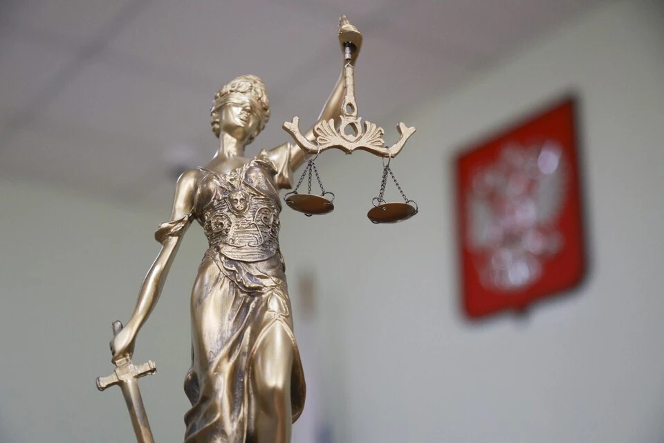 Подсудимый полностью признал вину и раскаялся в содеянном