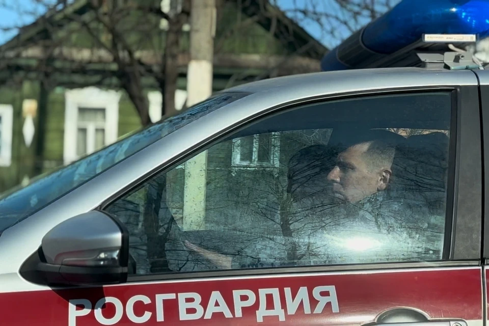 Экипажи пресекли 20 правонарушений во время патрулирования улиц. Фото: Росгвардия Тверской области.
