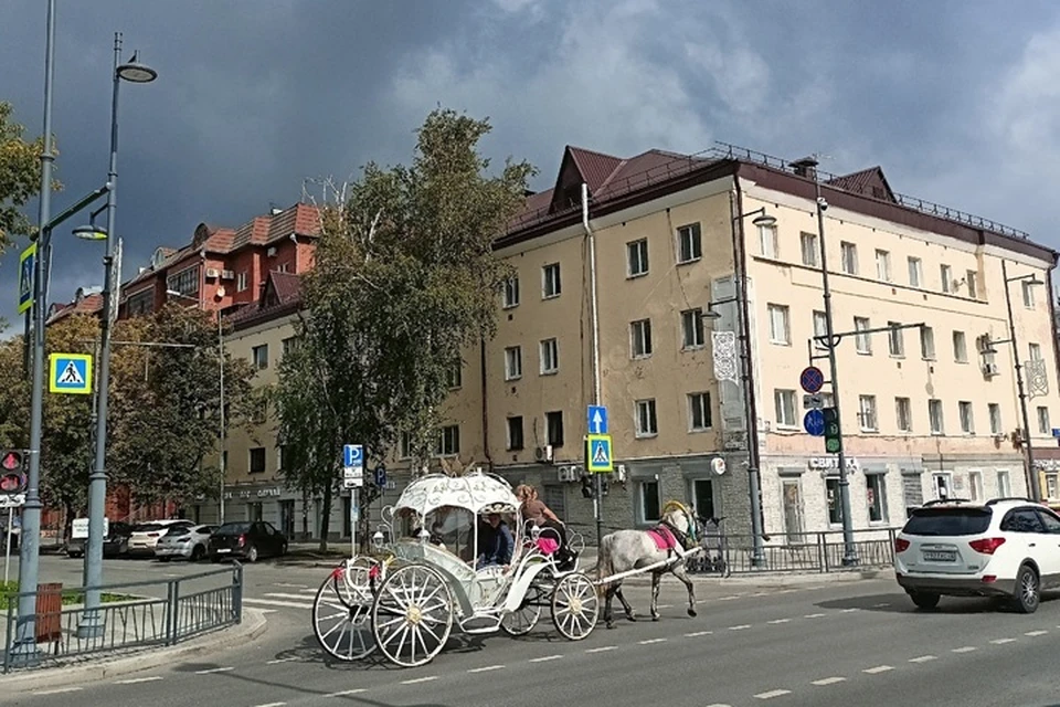 Лошади на Подаруевской в царские времена - обычное дело, а вот уже на Семакова сегодня - диковинка
