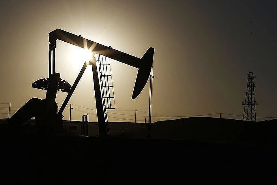 Минэнерго Казахстана снизило план добычи нефти из-за угроз для КТК
