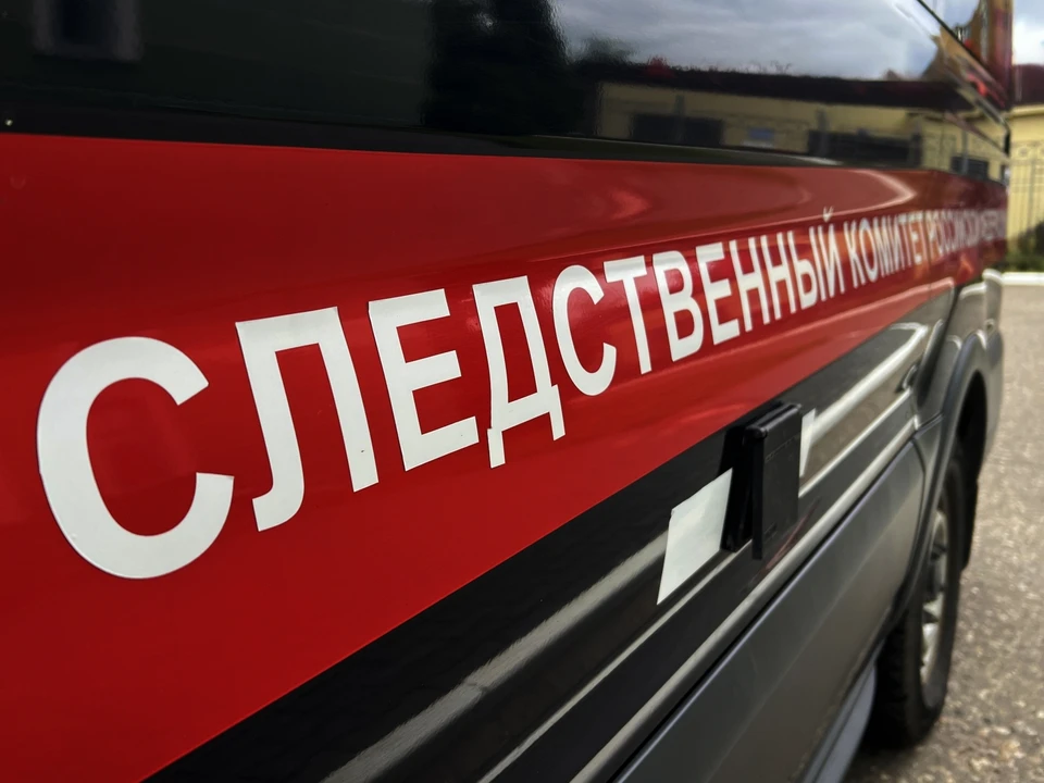 Фото: пресс-служба СУ СК России по Костромской области