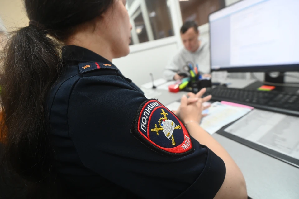 В Червонопартизанске двое мужчин украли у пенсионерки еду и попались полиции