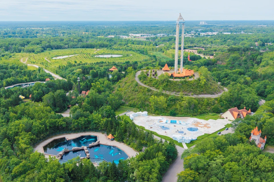 Белухи в парке Marineland Canada перед переселением