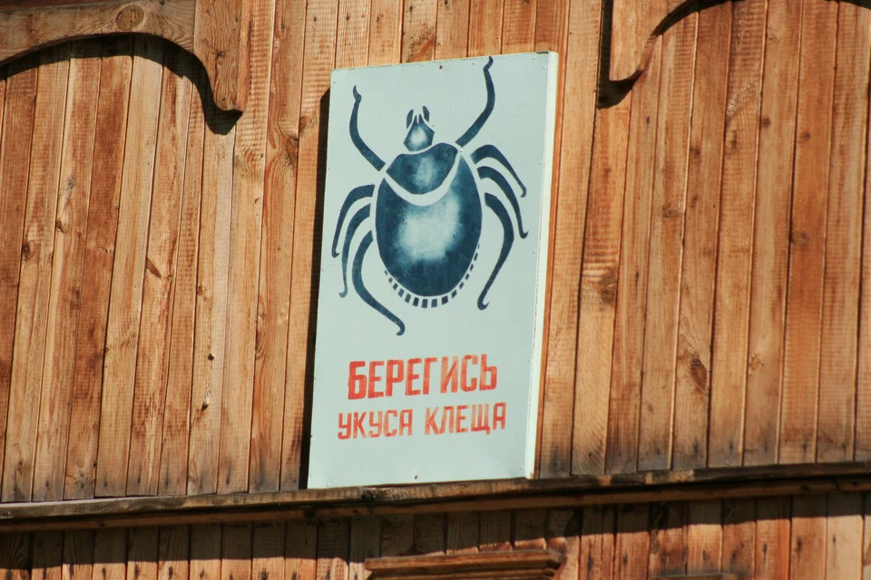 Клещи опасны до глубокой осени