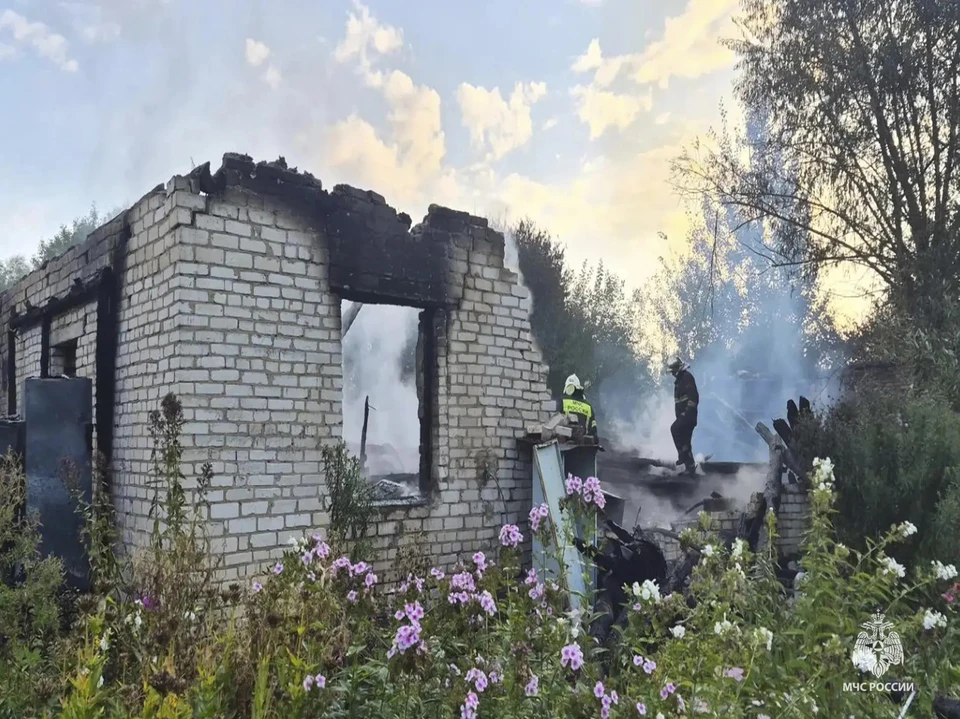 При пожаре в частном доме погиб мужчина в Веневском районе Тульской области