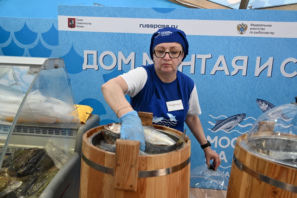 В России наступило сельдевое изобилие.