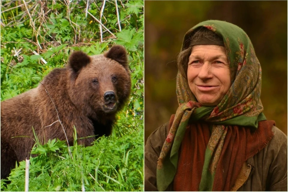 На отшельницу Агафью Лыкову напал голодный медведь. Фото: Сергей Усик.