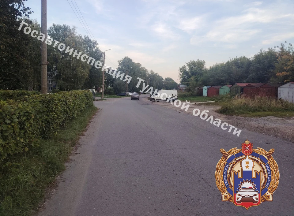 В ДТП из за пьяного водителя пострадали женщина и ребенок в Узловой Тульской области