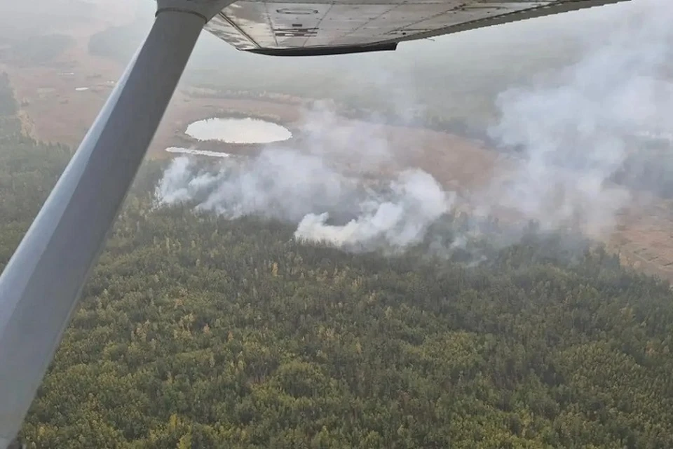 В Намском улусе обнаружен новый лесной пожар площадью 4 гектара. Фото: Авиалесоохрана Якутии