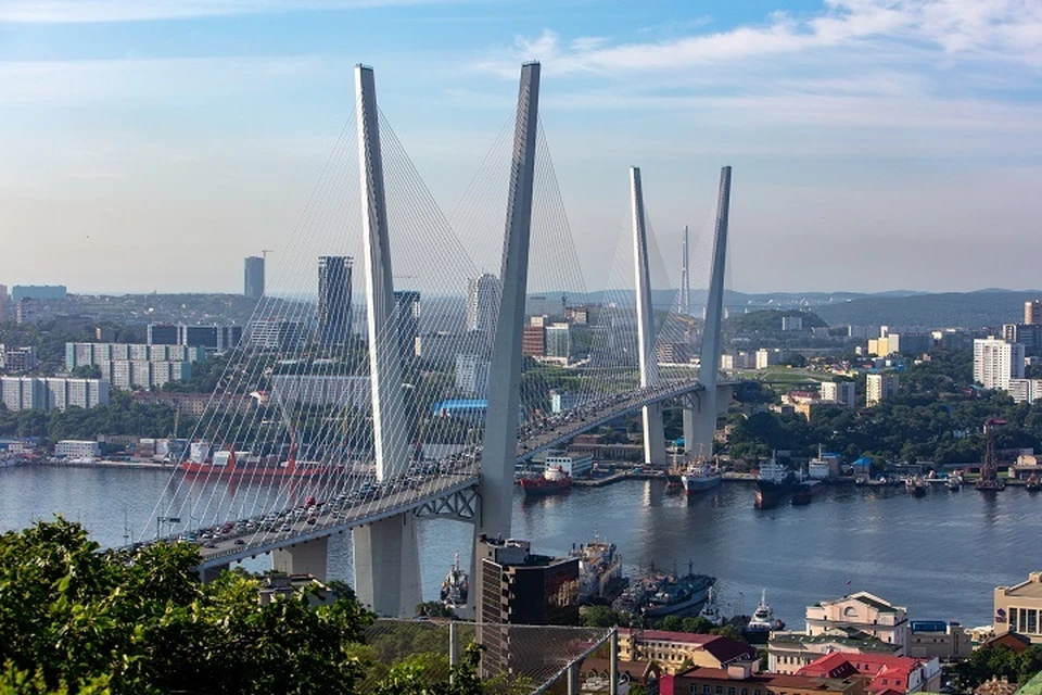 Мурал в честь дружбы России и КНДР открыли в Приморье