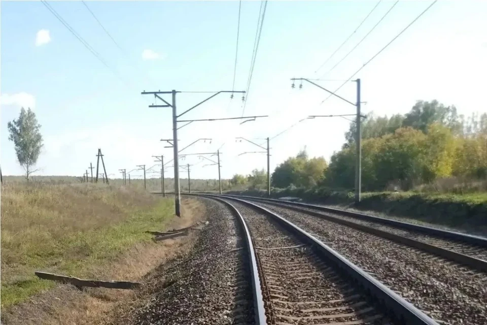 Машинист применил экстренное торможение, но избежать удара не удалось. Фото: Управление на транспорте МВД России по Сибирскому федеральному округу