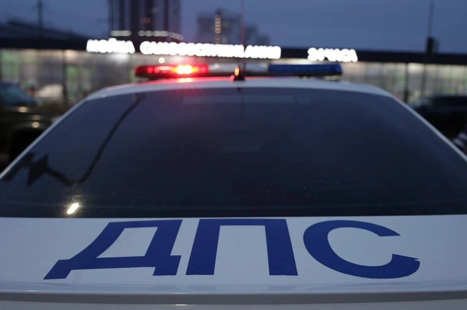 Фото: пресс-служба УМВД России по Белгородской области