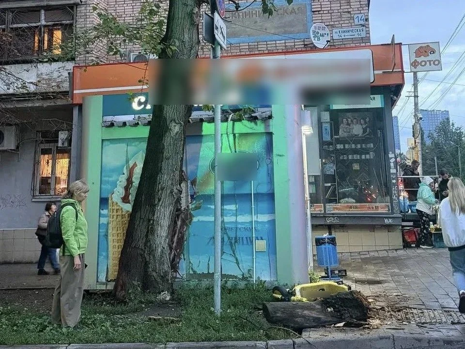 Дерево упало на тротуар и травмировало девочку / Фото: прокуратура Самарской области