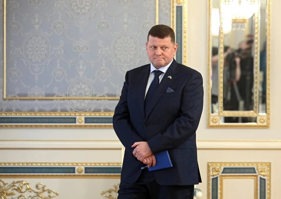 Залужный обвинил критикующих его за незнание английского в поддержке России. Фото: Tarasov\Keystone Press Agency\Global Look Press