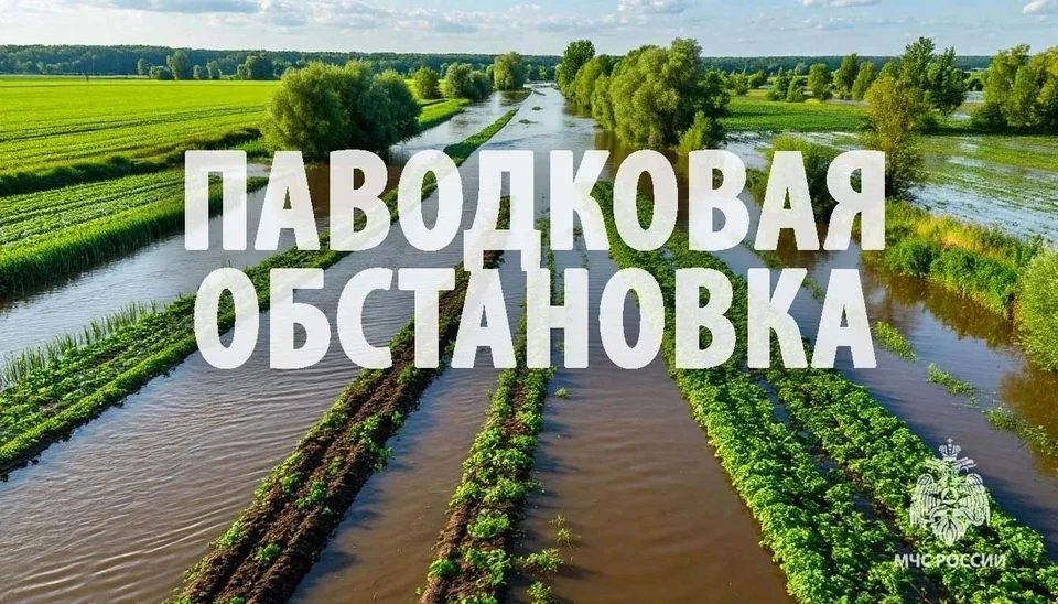Фото: ГУ МЧС Хабаровского края
