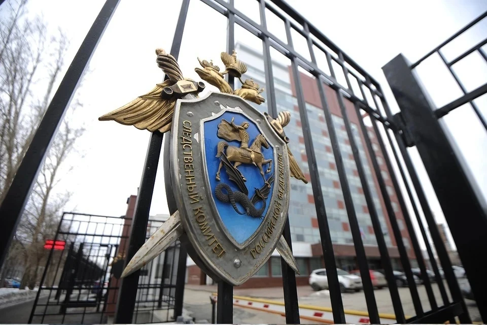 СК завершил дело о преступном сообществе, грабившем пассажиров Шереметьево
