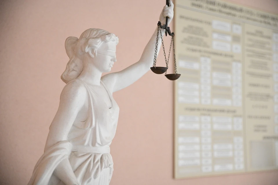 Суд в Новосибирской области приговорил водителя к лишению свободы.