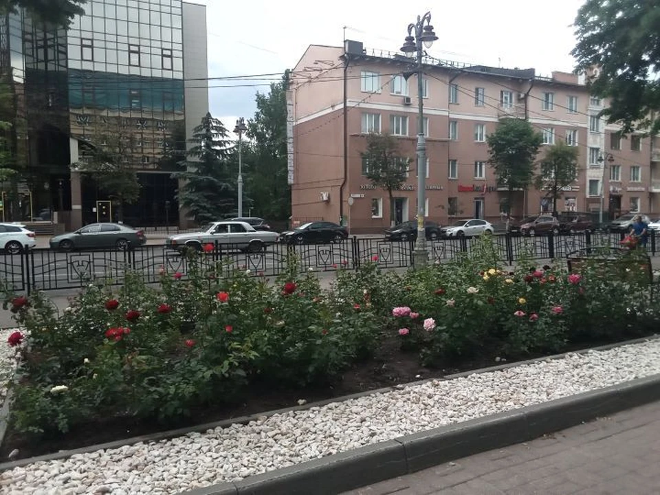 Новые общественные пространства откроют до Дня города