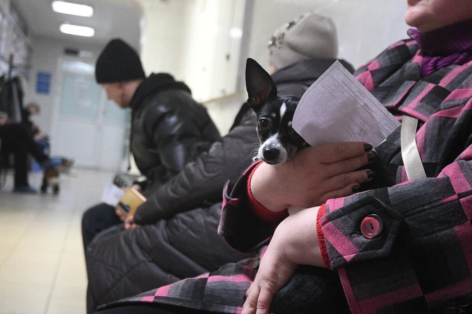 Клиника продается без персонала