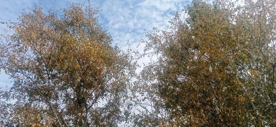 Готовьте куртки