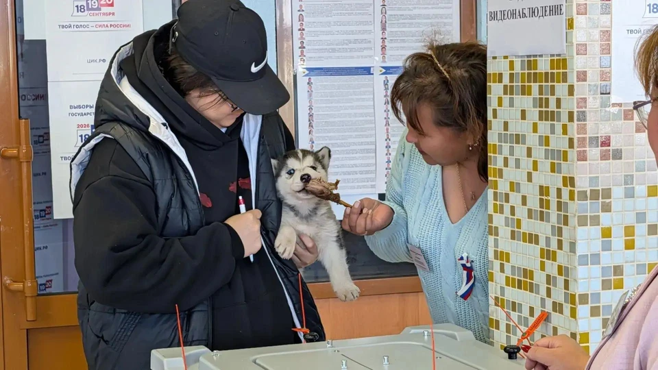 Житель Чукотки пришел на выборы с щенком хаски. Фото: избирком Чукотки/