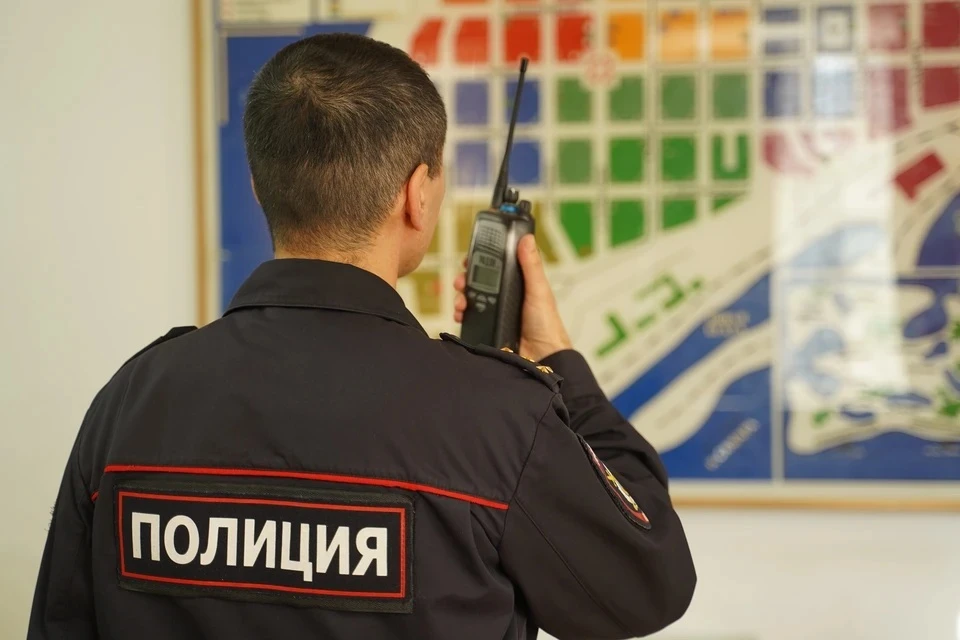МВД России сообщило о 56 попытках сорвать выборы сообщениями о минировании