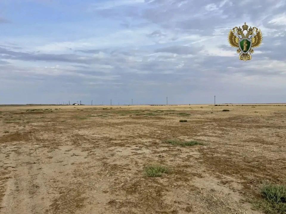 Фото: пресс-служба прокуратуры Ставропольского края