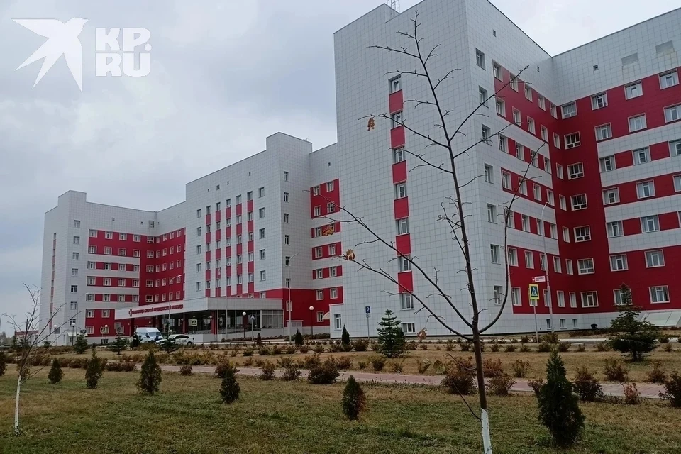 Рязанец выжил после падения на него большого дерева благодаря врачам БСМП.