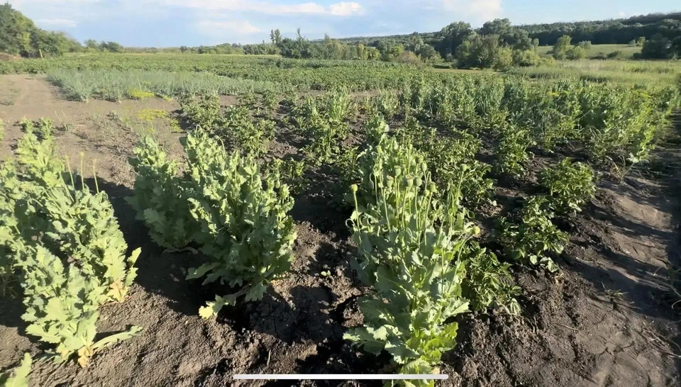 Фото пресс-службы региональной прокуратуры.