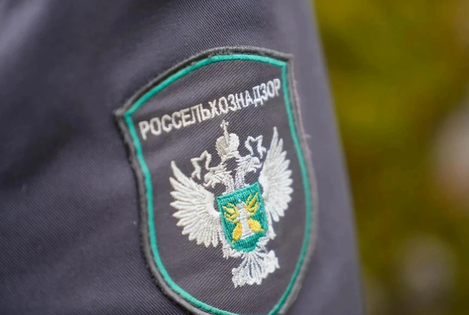 Фото: пресс-служба Азово-Черноморского межрегионального управления Россельхознадзора