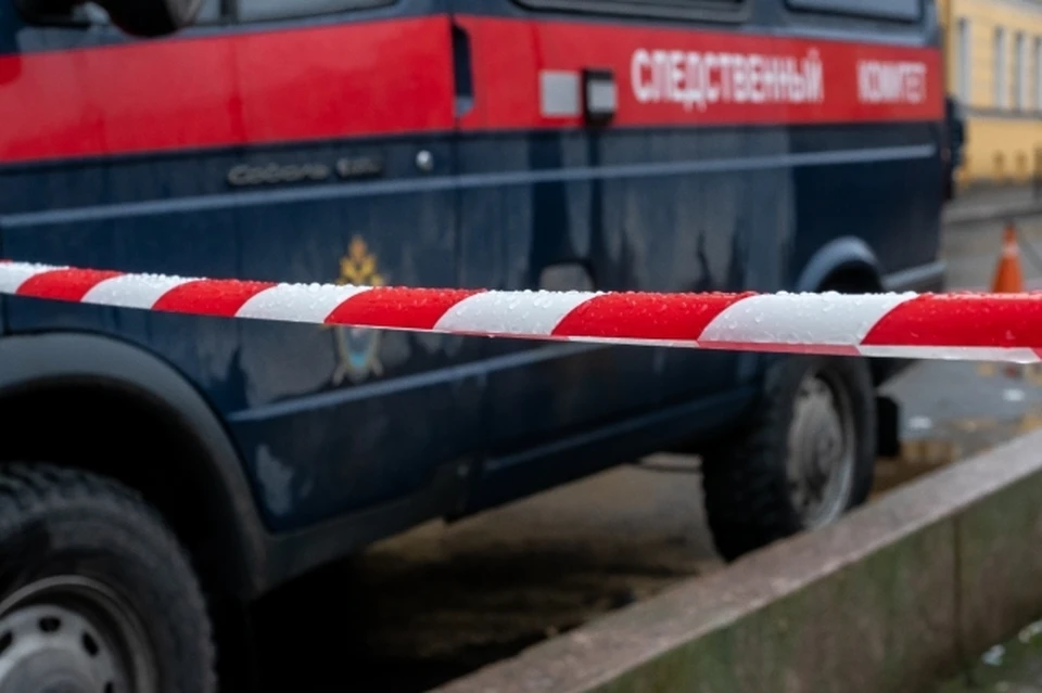 Расследованием занимался СК
