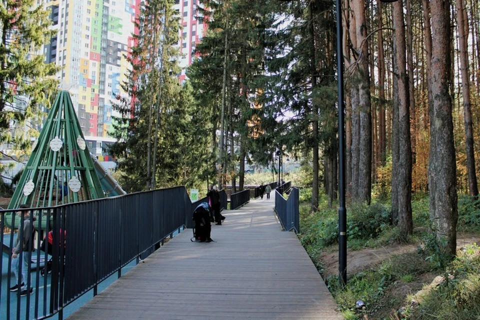 Рабочее название – «Дирекция городских пространств». Фото: Дана Солнцева