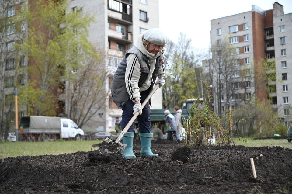 Ульяновцев приглашают 2 октября принять участие в «санитарной пятнице»