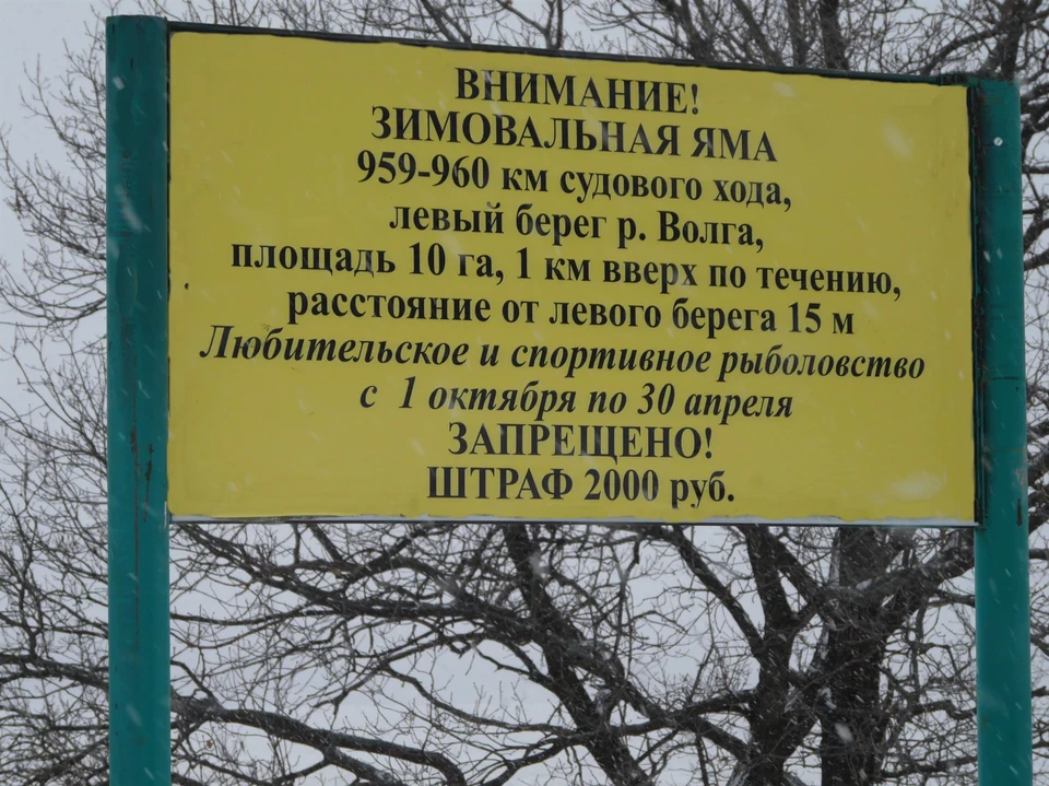 Рыбалку запретили на зимовальных ямах в Нижегородской области. Фото: Минлесхоз Нижегородской области