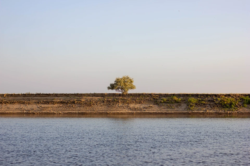 Фото: Igash/Shutterstock/Fotodom