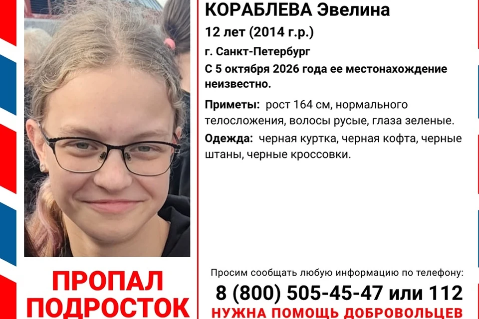 Поисково-спасательный отряд просит добровольцев присоединиться к поискам девочки. Фото: Поисково-спасательный отряд «Северо-Запад»