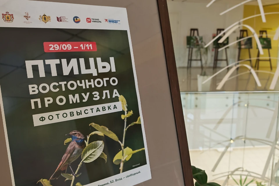 Книга стала итогом первого масштабного исследования.