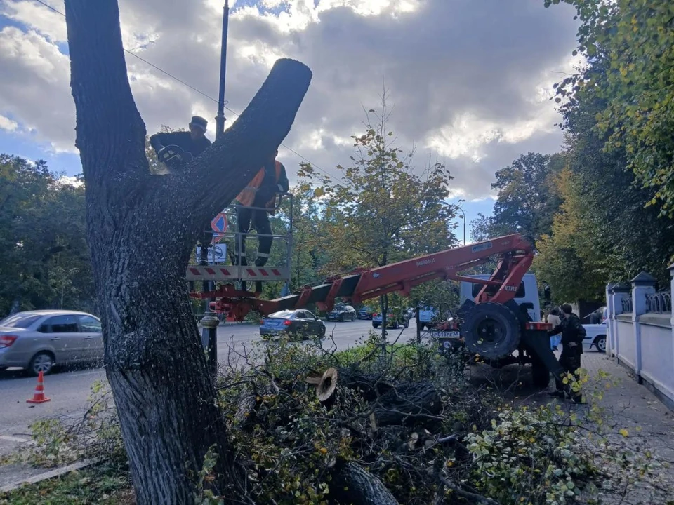 Фото администрации города Липецка
