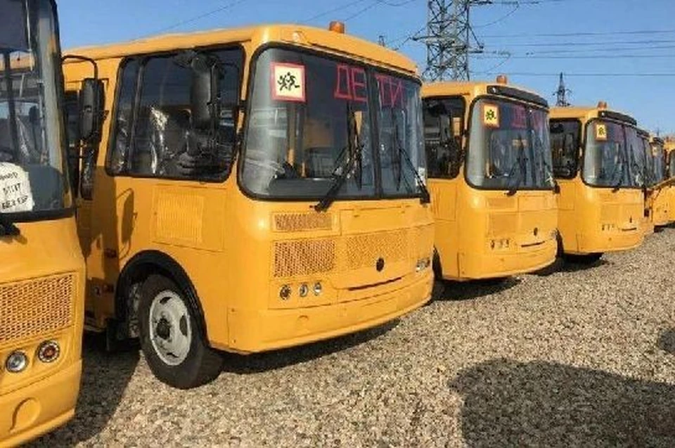 Фото: правительство Амурской области