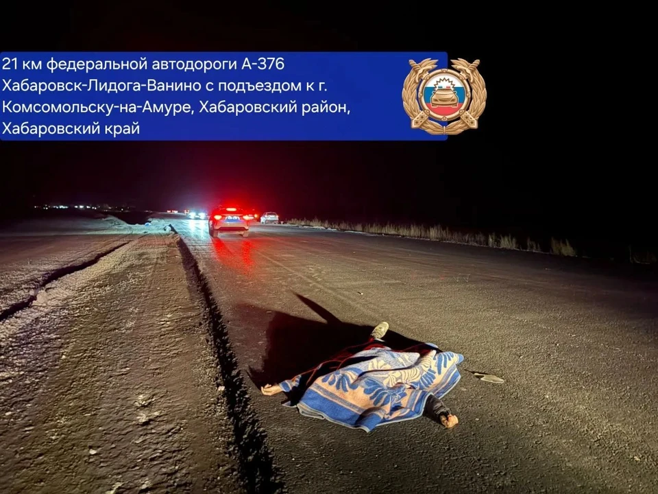 Фото: Госавтоинспекция Хабаровского края
