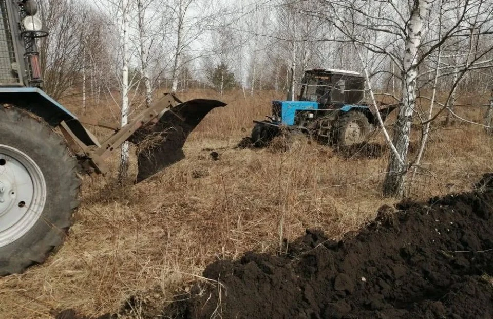 Фото: Управления лесами Орловской области