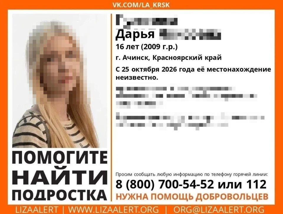 Изображение: «ЛизаАлерт»