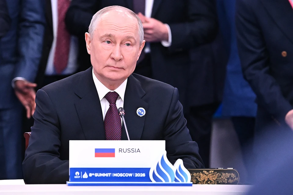 Путин рассказал, как протекает сотрудничество России и Турции в энергетической сфере
