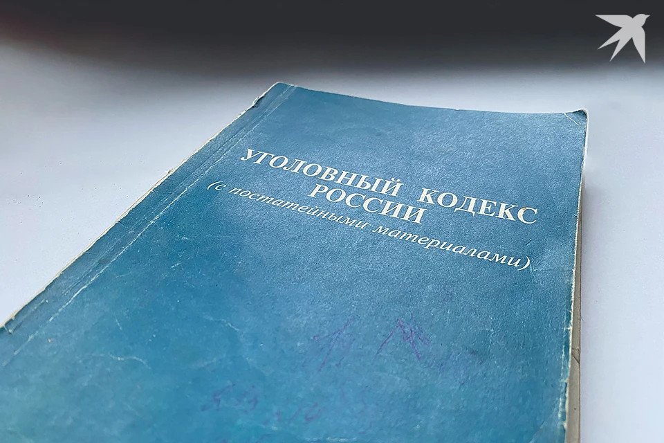 В Мурманской области в отношении директора мурманской коммерческой организации возбудили уголовное дело по ч. 2 ст. 145.1 УК РФ.