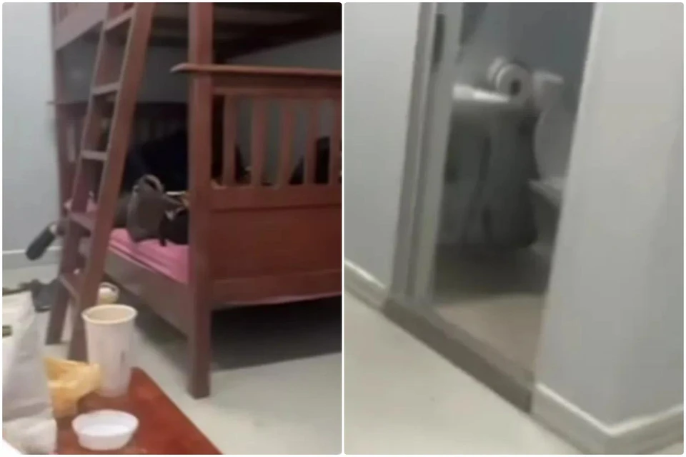 Девушка показала в соцсетях условия в изоляторе. Фото: скрин видео, соцсети героини