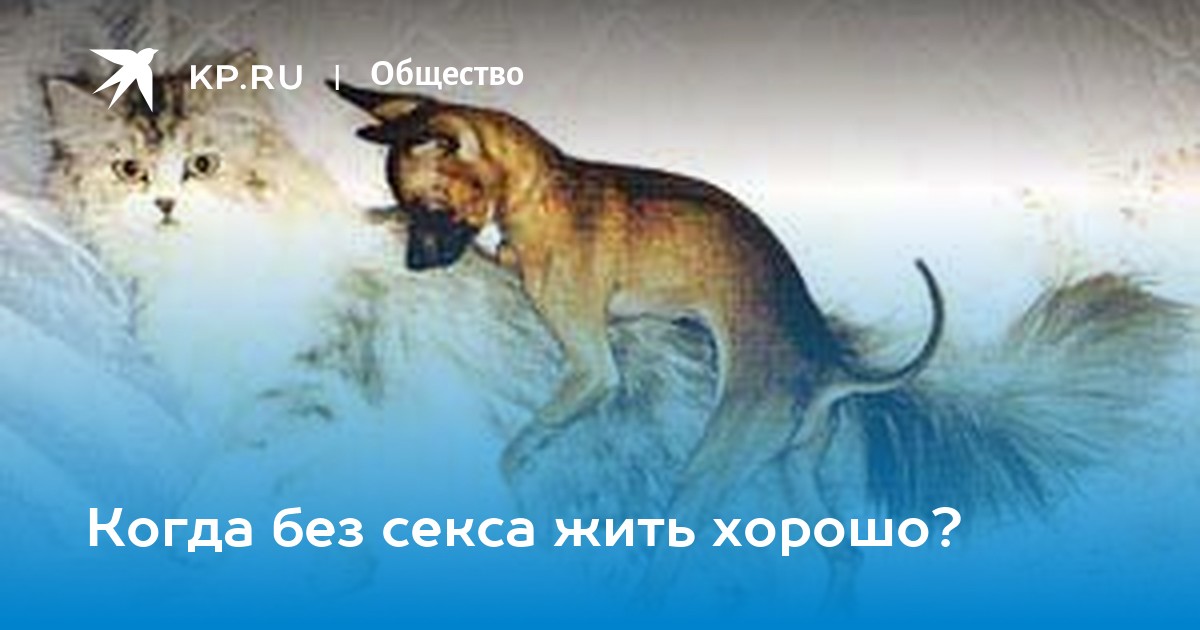 Добровольный целибат: почему отсутствие секса стало модным и чем это нам грозит